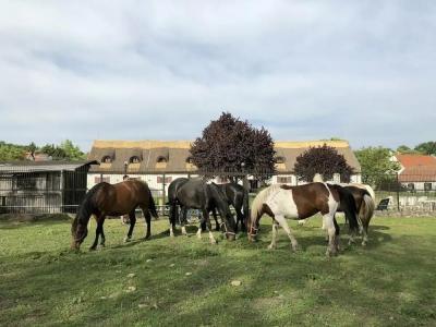 The Houses of History - anno 1830 - 4