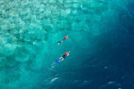 The Ocean Club, a Luxury Collection Resort, Costa Norte - 11