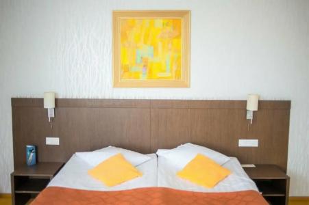 Rija VEF with FREE Parking - 65