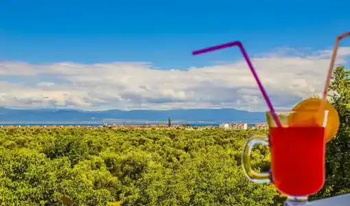 FORM TERMAL & SPA KAZDAĞLARI - 25