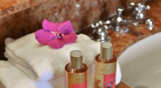 Holiday Inn Nice, an IHG - 49