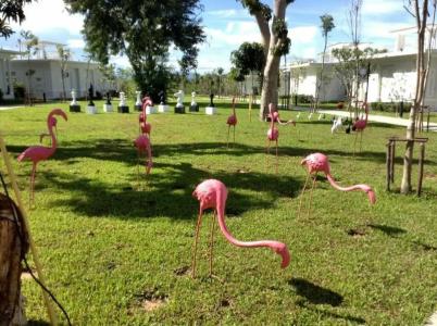 The Sea-Cret Garden Hua Hin - 20