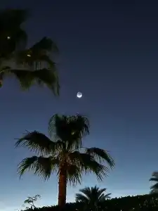 Naama Bay & Resort - 38