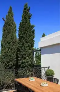 Eskiceshme Bodrum Marina - 5