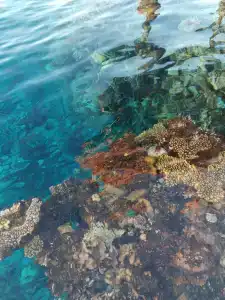 Monte Carlo Sharm Resort & Spa - 85