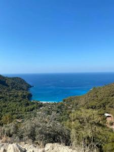 Sea Valley Bungalows - 63