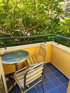 Kleopatra Dreams Beach - 28