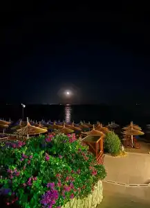 Cleopatra Luxury Resort Sharm El Sheikh - 88