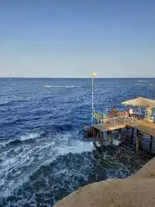 Sharm Reef Resort - 99