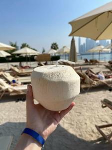 Fairmont The Palm - 97