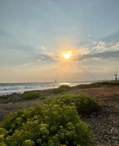 Piere - Anne Beach - 77