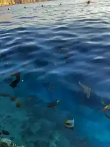 Dreams Vacation Resort - Sharm El Sheikh - 89