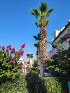 Akdora Resort & Spa - 7