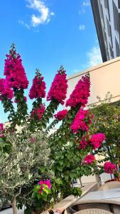 Mert Seaside (Adult only +16) - 20