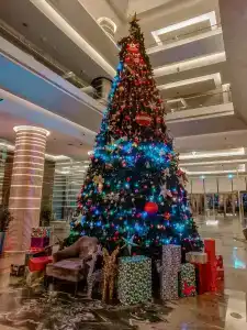 Royal M Abu Dhabi by Gewan - 7