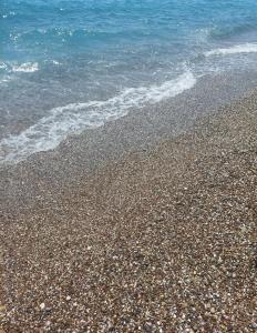 Club Nena - All Inclusive - 71