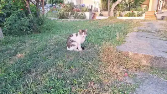 Club Titan Ultra All Inclusive - 65