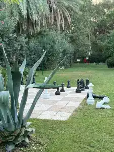 TUI MAGIC LIFE Sarigerme - 37