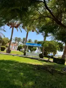 Serenity Alpha Beach - Ex Serenity Makadi Beach - 42