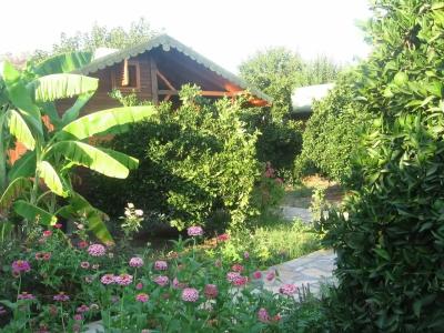 Ugur Pansiyon Bungalows - 23