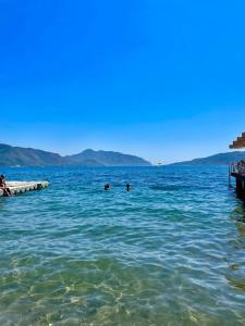 Poseidon - Adult Only - 15