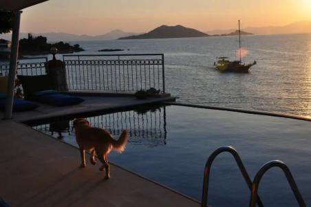 Ece Sovalye Island - 22