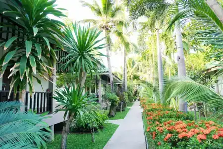 Lamai Inn 99 Bungalows - 1