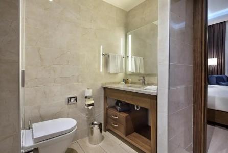 Hilton Garden Inn Izmir Bayrakli - 9