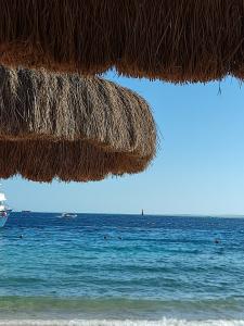 Sun & Sea and Aqua Park - Hurghada - 91