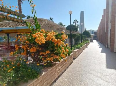 Bel Air Azur Resort (Adults Only) - 40