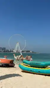 Hilton Dubai Jumeirah - 68