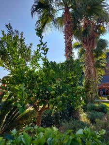 Mylome Luxury & Resort - 6