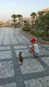 Pharaoh Azur Resort - 45