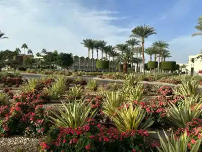 Sentido Reef Oasis Senses Aqua Park Resort - 64