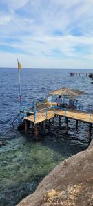 Sharm Reef Resort - 13