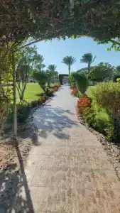 Hurghada Long Beach Resort - 41
