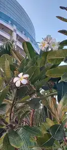 Khalidiya Palace Rayhaan by Rotana, Abu Dhabi - 98