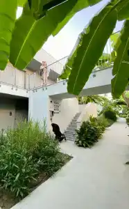 Paloma Finesse Side - 43