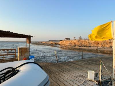 Viva Blue Resort and Diving Sharm El Naga (Adults Only) - 20
