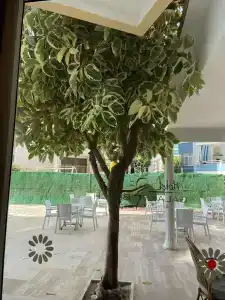 Galaxy Beach Alanya - 17