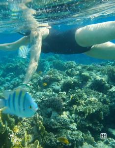 Fayrouz Resort - 30