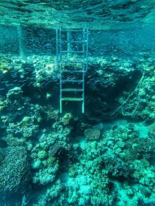 Tropitel Dahab Oasis - 29