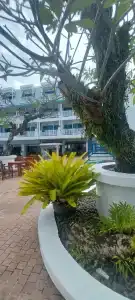 Andaman Seaview, Karon Beach - SHA Plus - 41