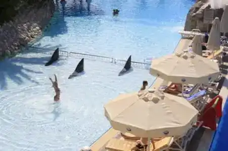 AQI Pegasos World - 19