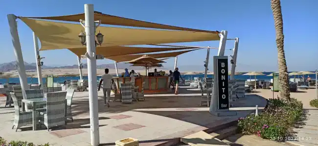 Barceló Tiran Sharm - 99