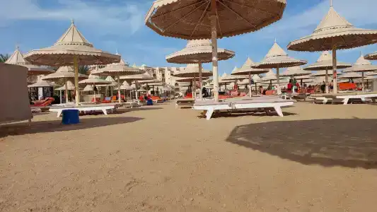 The Grand Resort - 88