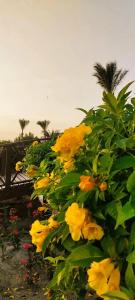 Blend Club Aqua Resort - 36