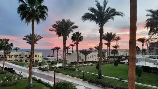 Grand Oasis Resort - 54