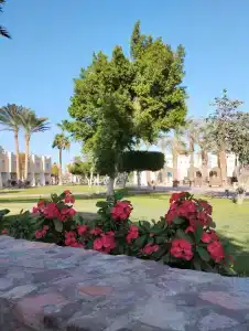 Dahab Lagoon Club & Resort Ex Tirana Dahab - 95