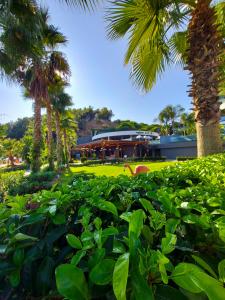 Mylome Luxury & Resort - 55